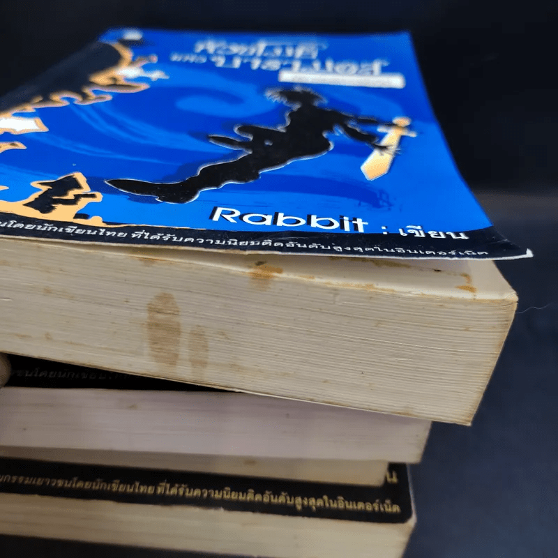หัวขโมยแห่งบารามอส 4 เล่มจบ + The Perfect Guidebook - Rabbit