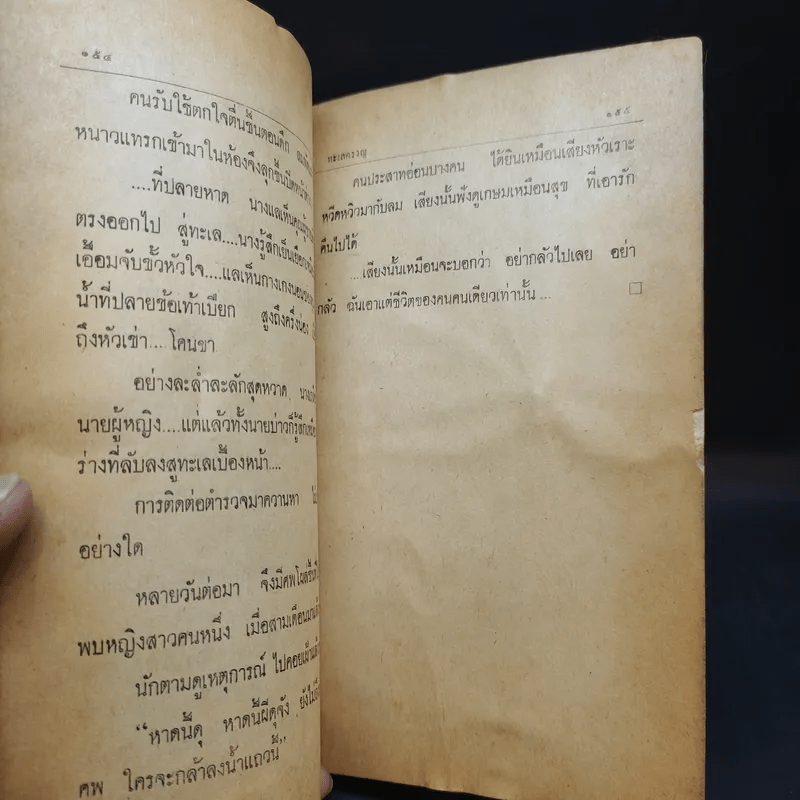 แม่ม่ายหัวใจชา - วิภาภรณ์