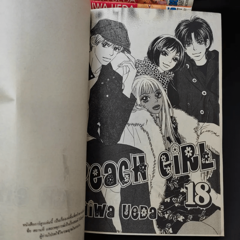 Peach Girl 18 เล่มจบ