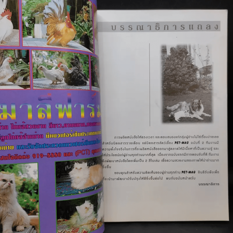 Pet-Mag นิตยสารสัตว์เลี้ยง ปีที่ 1 ฉบับที่ 2 ส.ค.2542