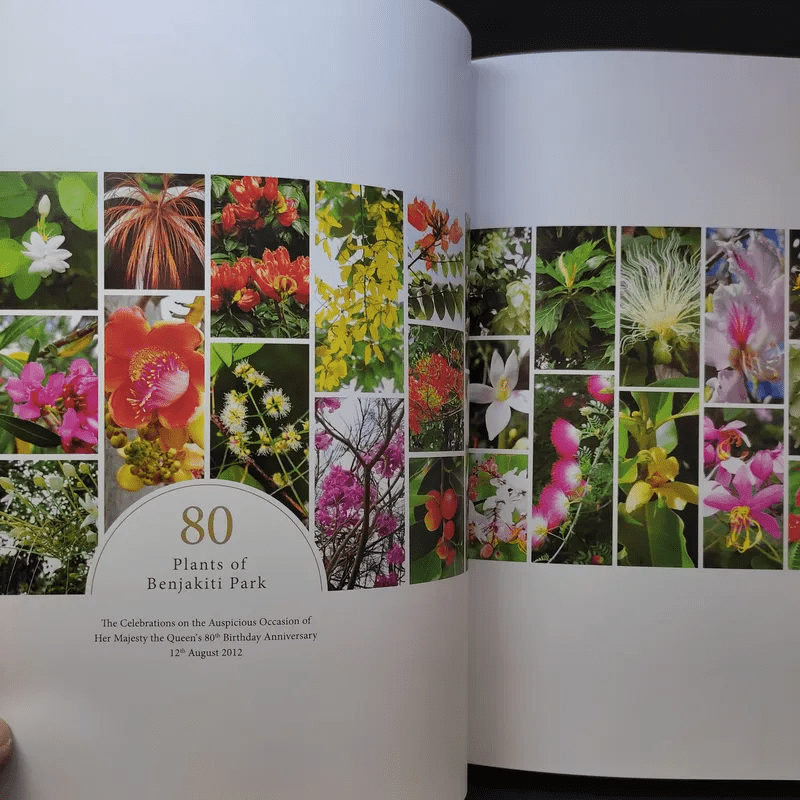 Her Majesty Queen Sirikit : Mother of Biological Diversity Protection 80 พันธ์ไม้ของสวนเบญจกิติ