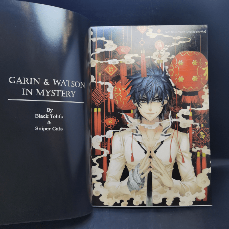 Garin & Watson in Mystery Illustration Collection