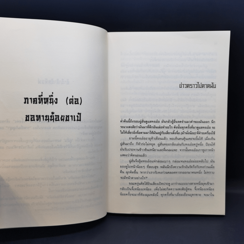 จอมโจรลักแผ่นดิน 4 เล่มจบ - น.นพรัตน์