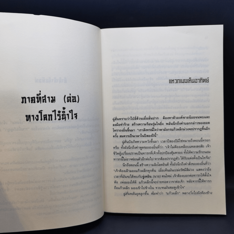 จอมโจรลักแผ่นดิน 4 เล่มจบ - น.นพรัตน์