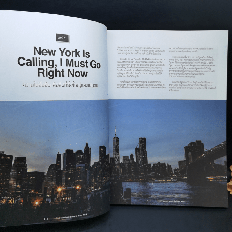 The Coolest Ideas in New York นิวยอร์ก นอกรู - นุวีร์ เลิศบรรณพงษ์ (Nuvee Lertbunnapong)