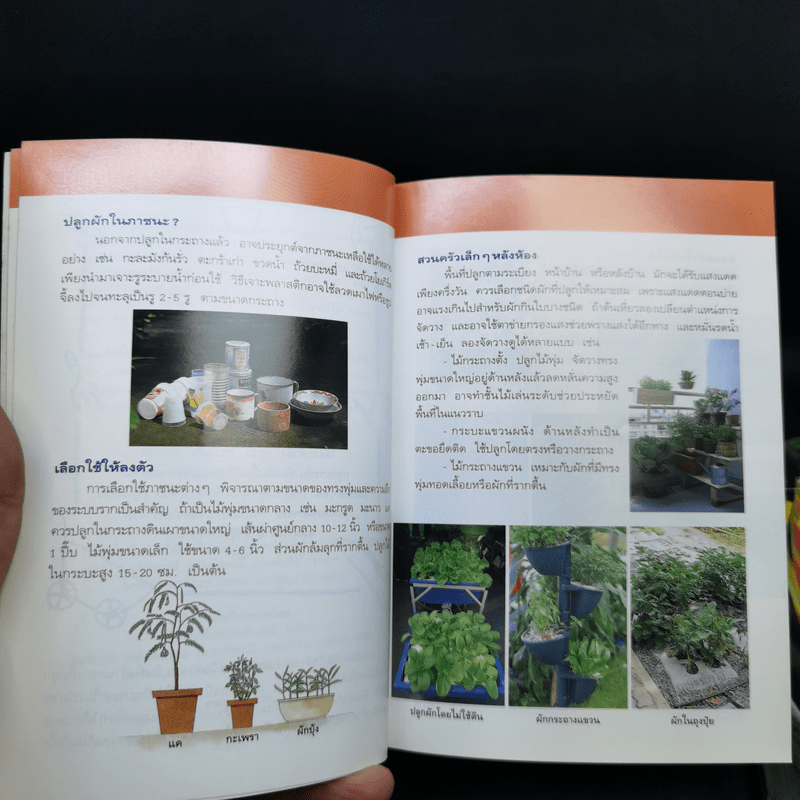 คู่มือคนรักต้นไม้ 3 เล่ม สวนครัวกระถาง + เฮลิโคเนีย + ไม้ใบคลุมดิน