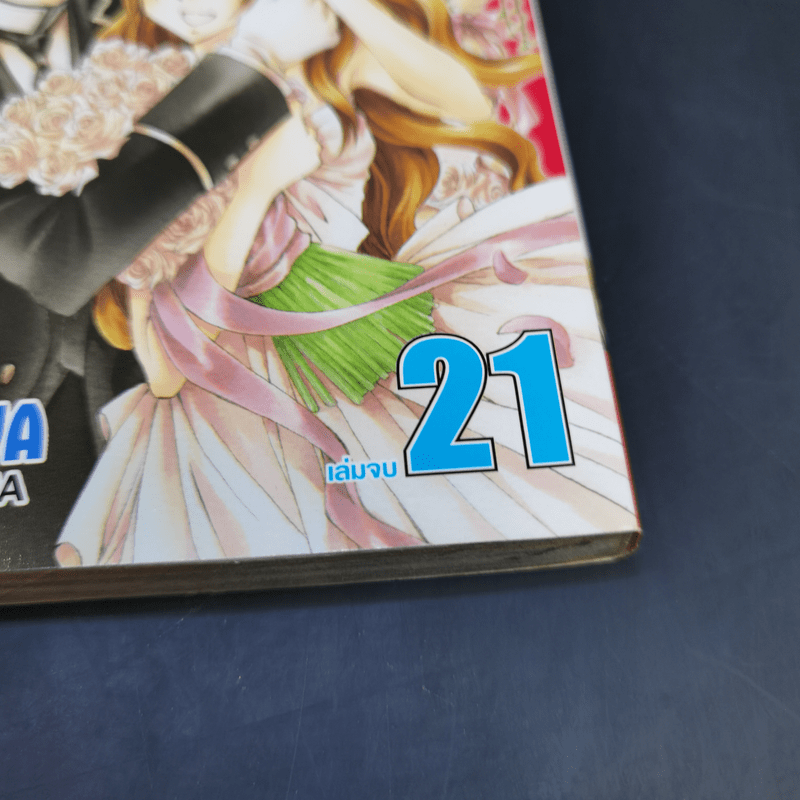 ขวัญใจพ่อบ้านมาดเข้ม 21 เล่มจบ - Rei Izawa