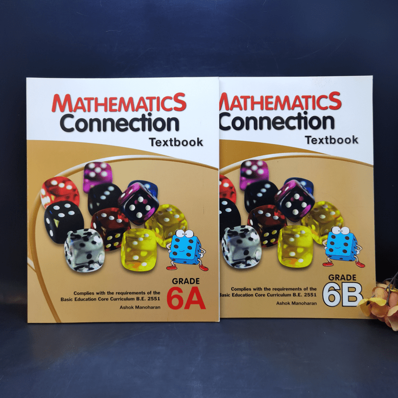 Mathemattics Connection Textbook Grade 6A+6B