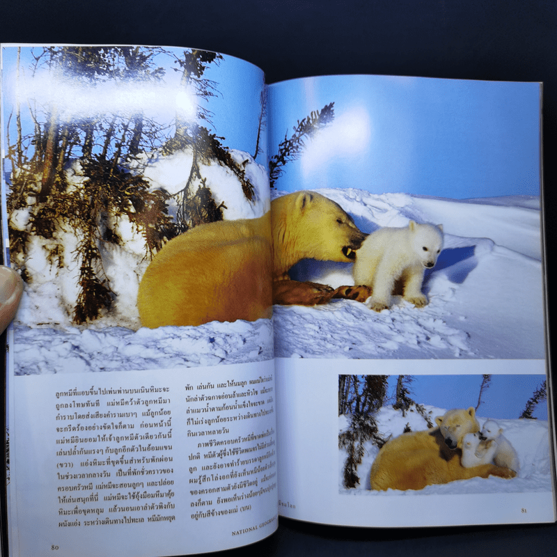 National Geographic ฉบับปฐมฤกษ์ ส.ค.2544
