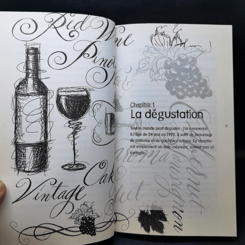 Apprendre à déguster le vin avec un pro - Jean-Charles Botte
