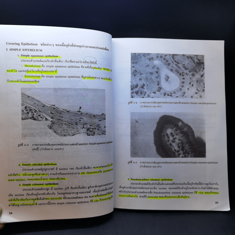 กายวิภาคศาสตร์ของมนุษย์ Human Anatomy