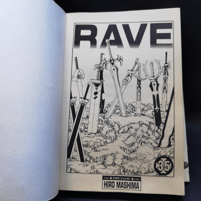 Rave ผจญภัยเหนือโลก 35 เล่มจบ