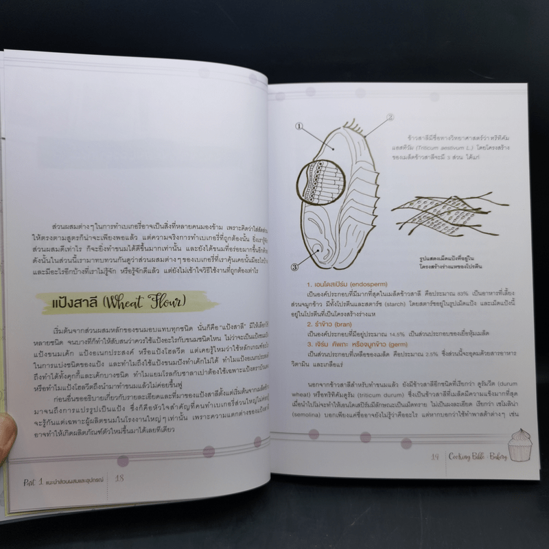 Cooking Bible : Bakery คัมภีร์สำหรับคนทำเบเกอรี่ที่ละเอียดครบถ้วน และสมบูรณ์ที่สุด - ดร. นภัสรพี เหลืองสกุล, ดร. สวามินี นวลแขกุล