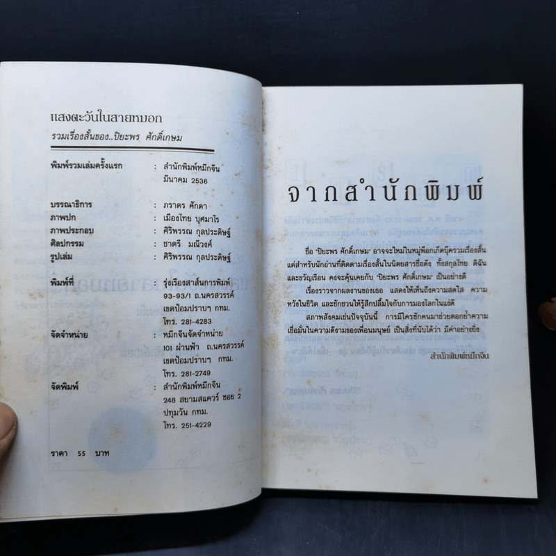 แสงตะวันในสายหมอก - ปิยะพร ศักดิ์เกษม