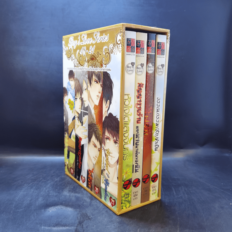 นิยายวาย Boy's Love Series 18-21 Boxset