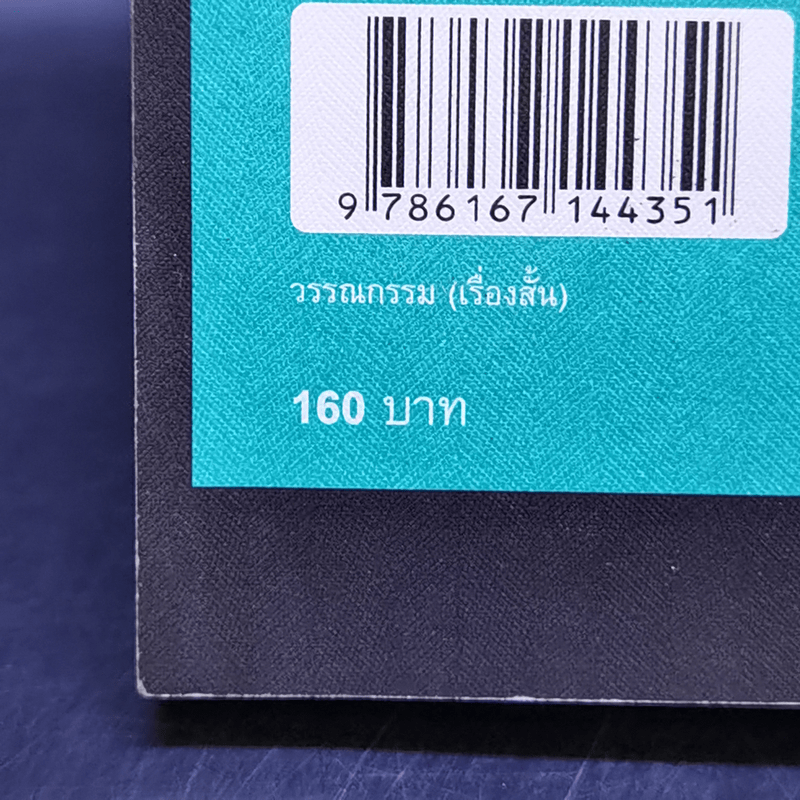 กลับบ้านก่อนค่ำ และ สระว่ายน้ำหลังเที่ยงคืน - เคอิ มิยามะ, ปราบดา หยุ่น