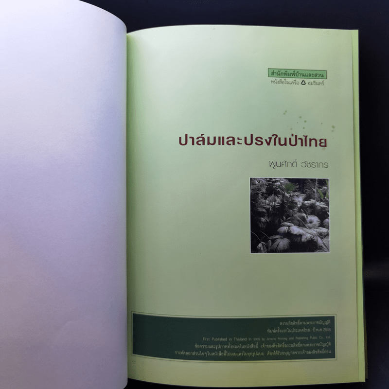 ปาล์มและปรงในป่าไทย - พูนศักดิ์ วัชรากร