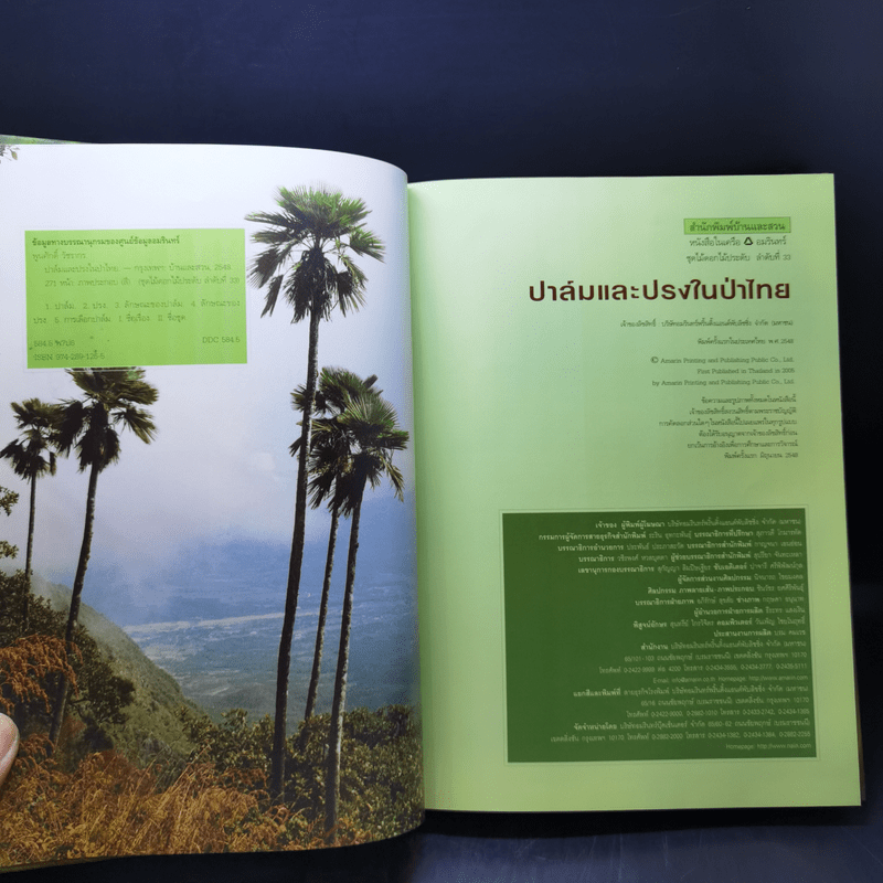 ปาล์มและปรงในป่าไทย - พูนศักดิ์ วัชรากร