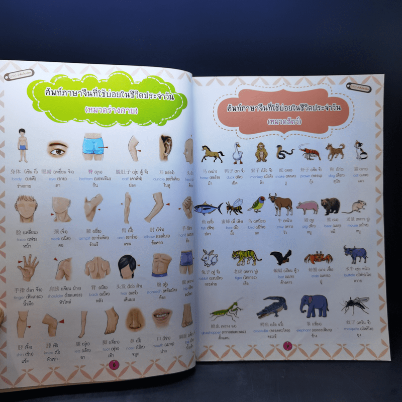 5,000 คำศัพท์อาเซียน หนังสือภาพชุดคำศัพท์ภาษาอาเซียน
