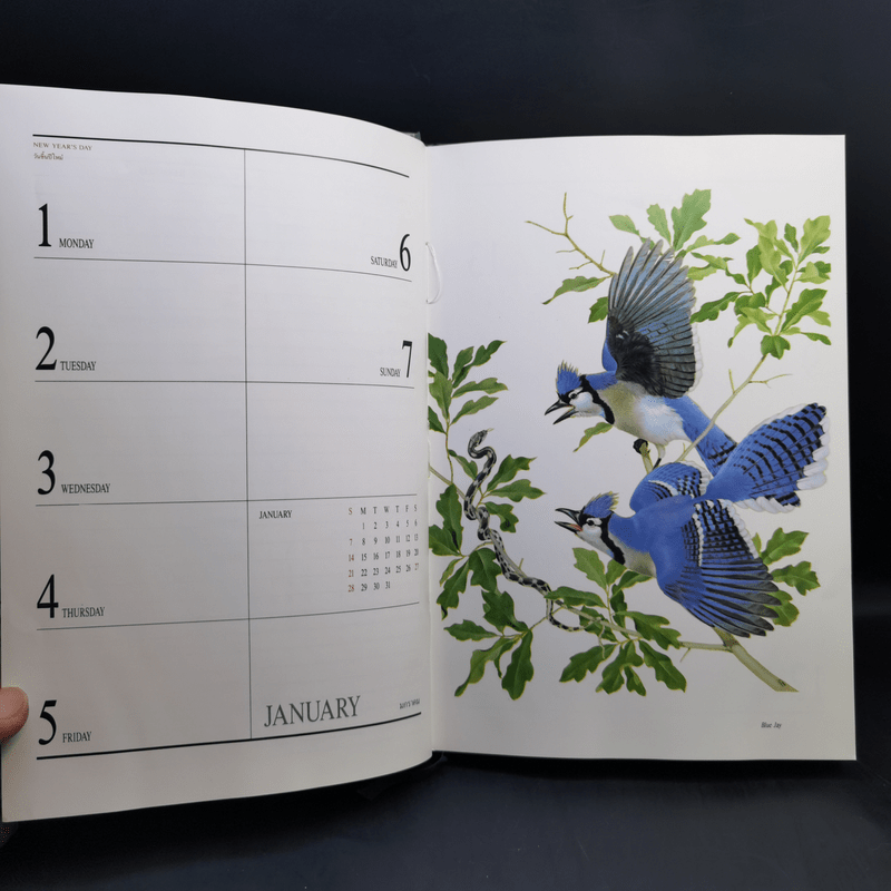 Birds Exotic Central Diary 1990