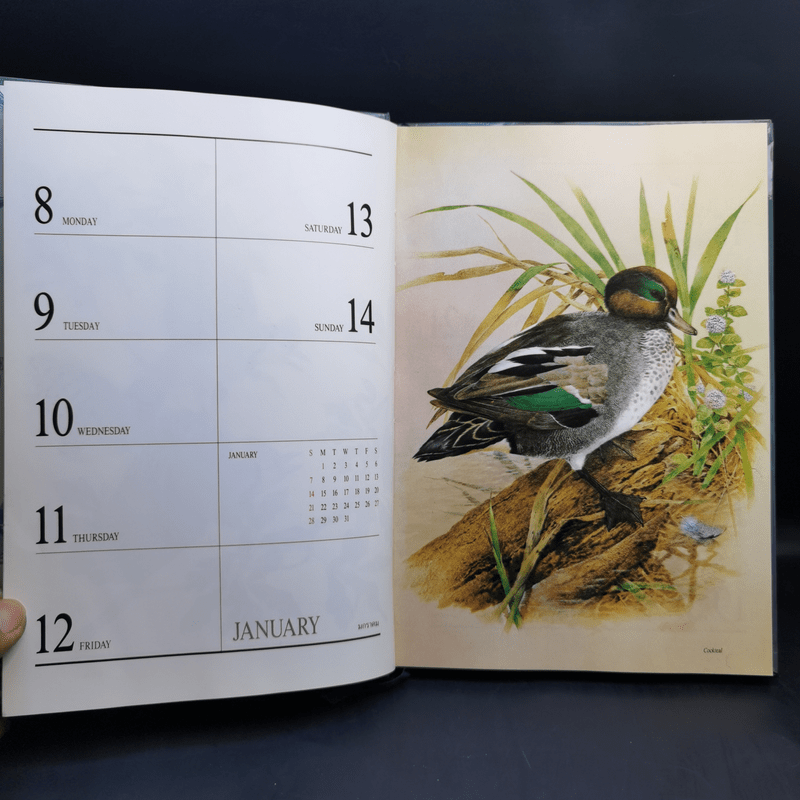 Birds Exotic Central Diary 1990