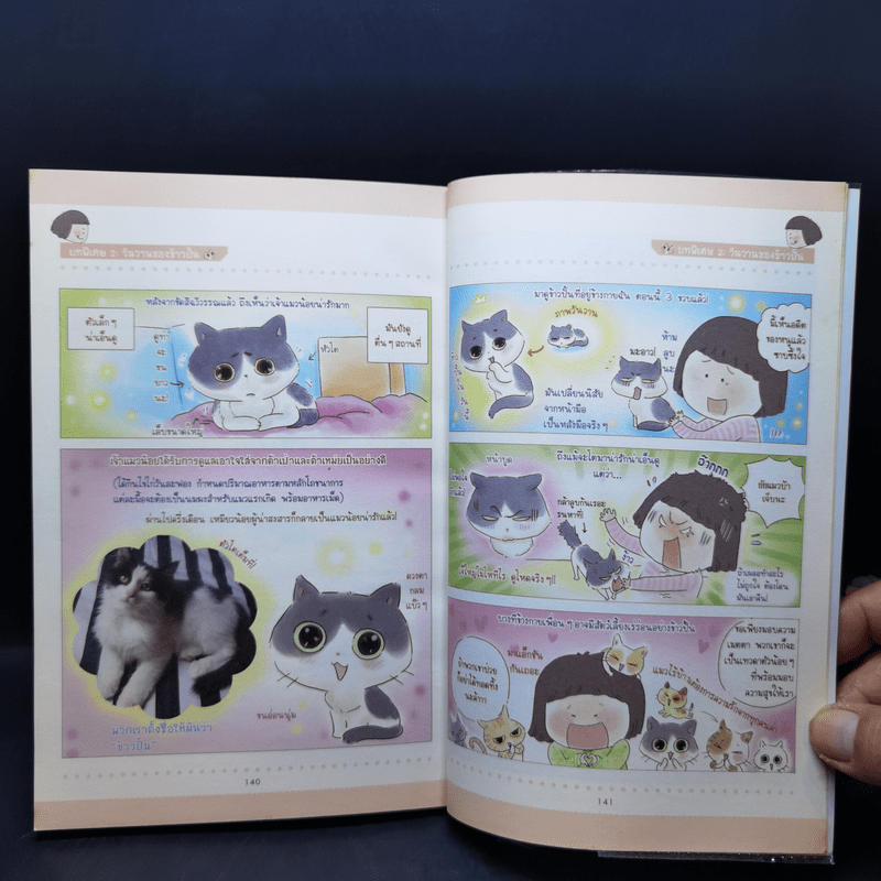 Cat Story เหมียวสุดฮาของเสี่ยวชี