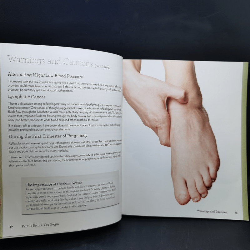 Idiot's Guides: Reflexology - Bill Flocco