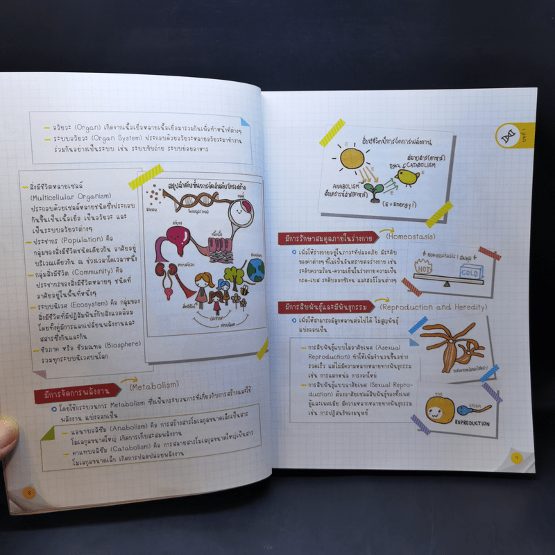 Lecture สรุปเข้มชีวะ ม.ปลาย