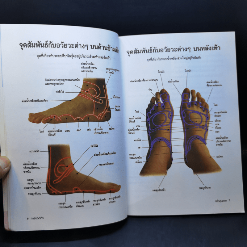 การนวดเท้าเพื่อสุขภาพและรักษาโรค
