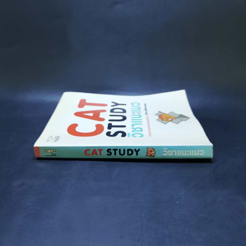 Cat Study วิชาแนะแมว - ทีปกร วุฒิพิทยามงคล