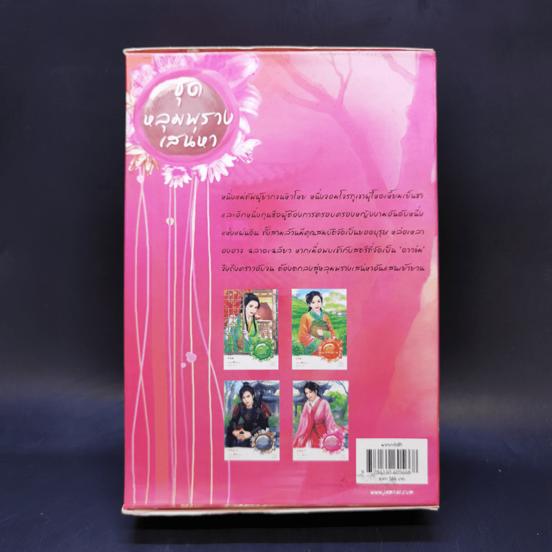 Boxset นิยายแจ่มใสจีน ชุดหลุมพรางเสน่หา 4 เล่ม