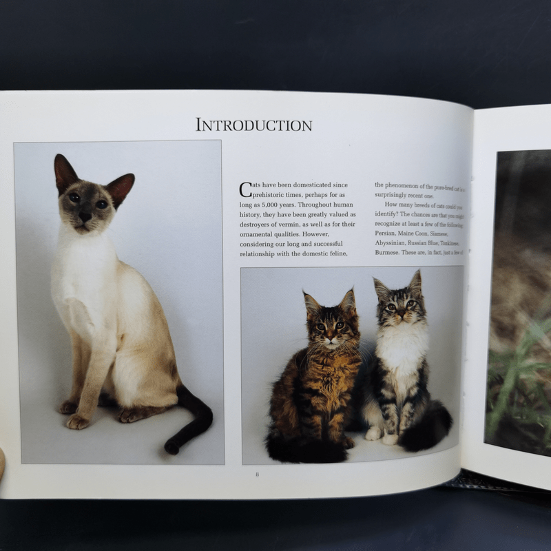 The Ultimate Guide to Cat Breeds - Louisa Somerville