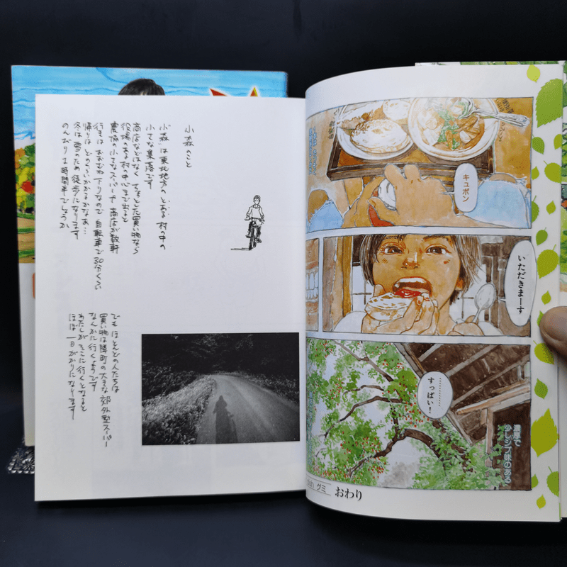 การ์ตูนภาษาญี่ปุ่น Little Forest Vol.1-2