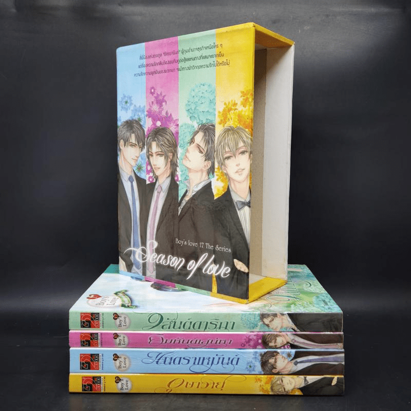 นิยายวาย Boxset Season of Love (Boy's love 17 The Series)