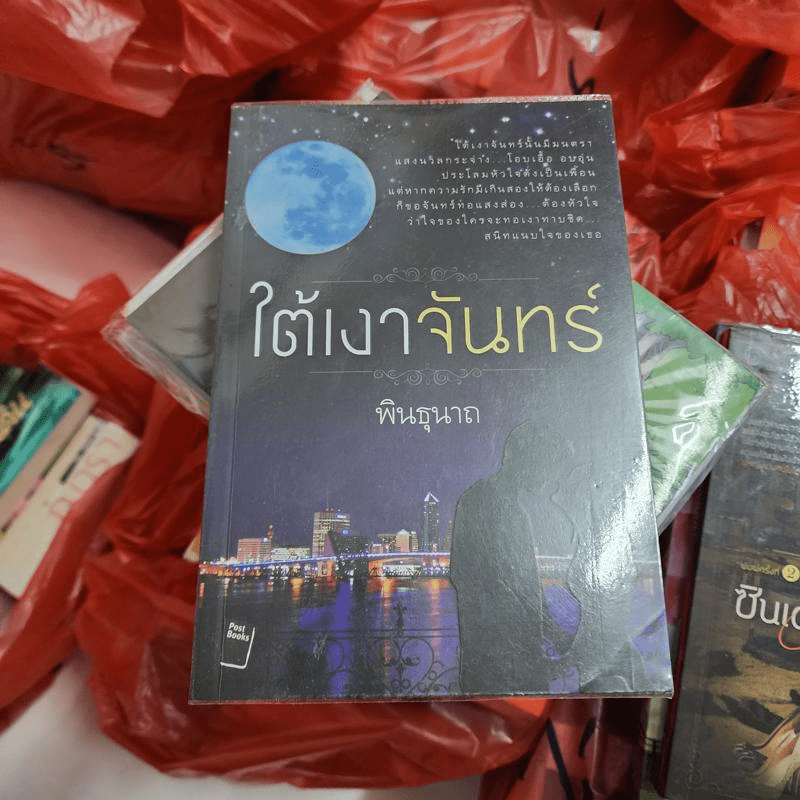 ใต้เงาจันทร์ - พินธุนาถ