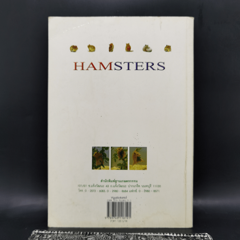หนูแฮมสเตอร์ Hamsters - กณิกนันต์ ลีฬฆวรรณ
