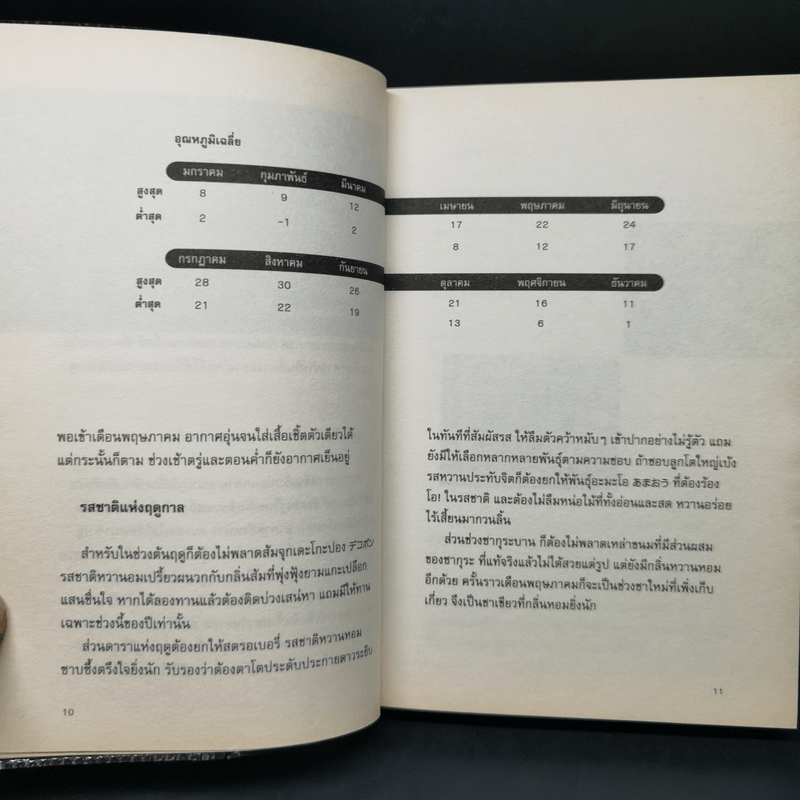 โตเกียว โตเกียว ไม่รู้จบ - Anchalee