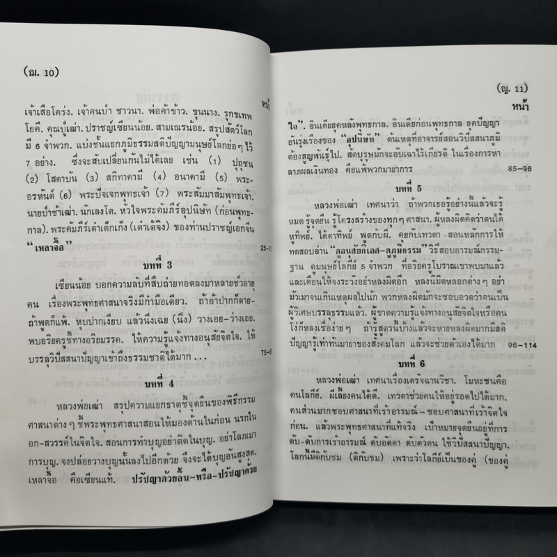 ศิษย์โง่ไปเรียนเซ็น เล่มที่ 4 - ธีรทาส