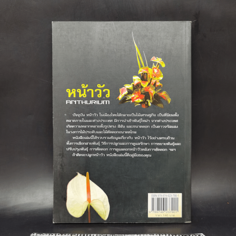 หน้าวัว Anthurium ดาวจรัสแสงแห่งไม้ประดับไม้ตัดดอก - พฤกษทล