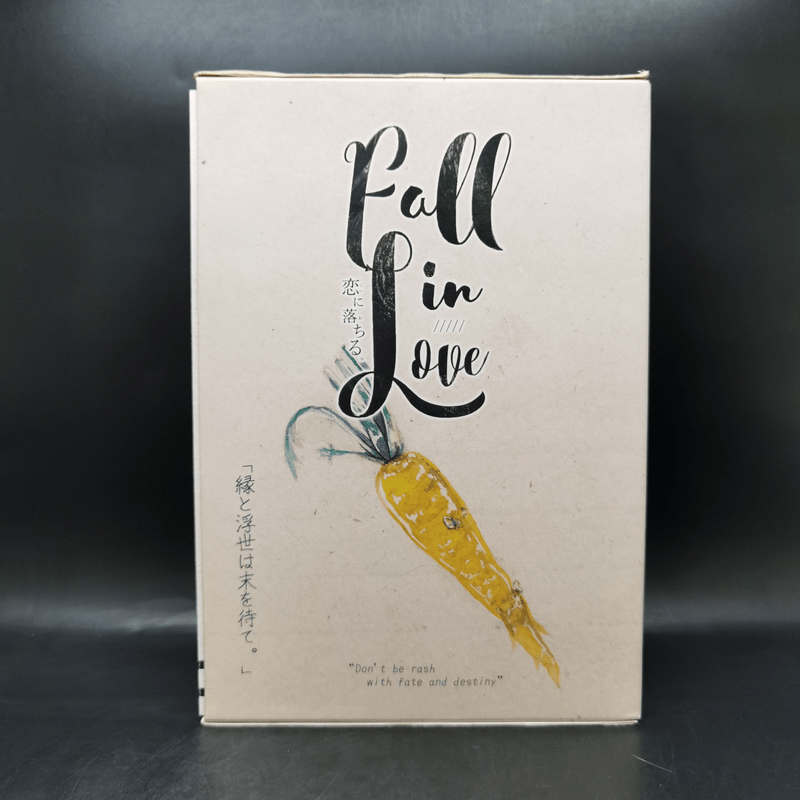 นิยายวาย Fall in Love : เมื่อผมตกหลุมรัก 2 เล่มจบ Boxset - Mame