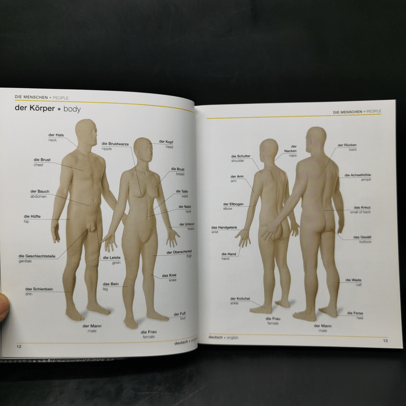 Bilingual Visual Dictionary German English