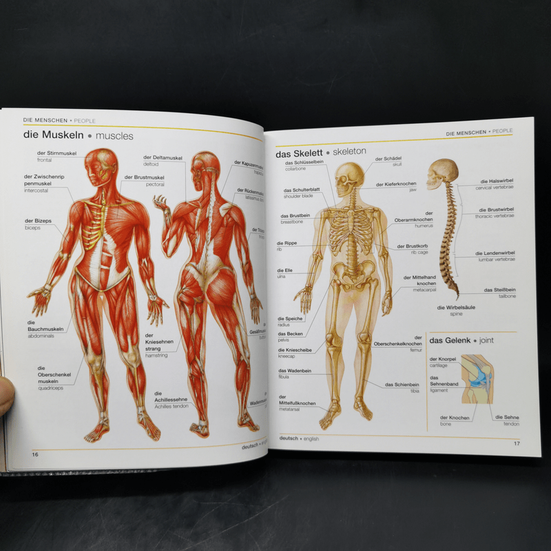 Bilingual Visual Dictionary German English