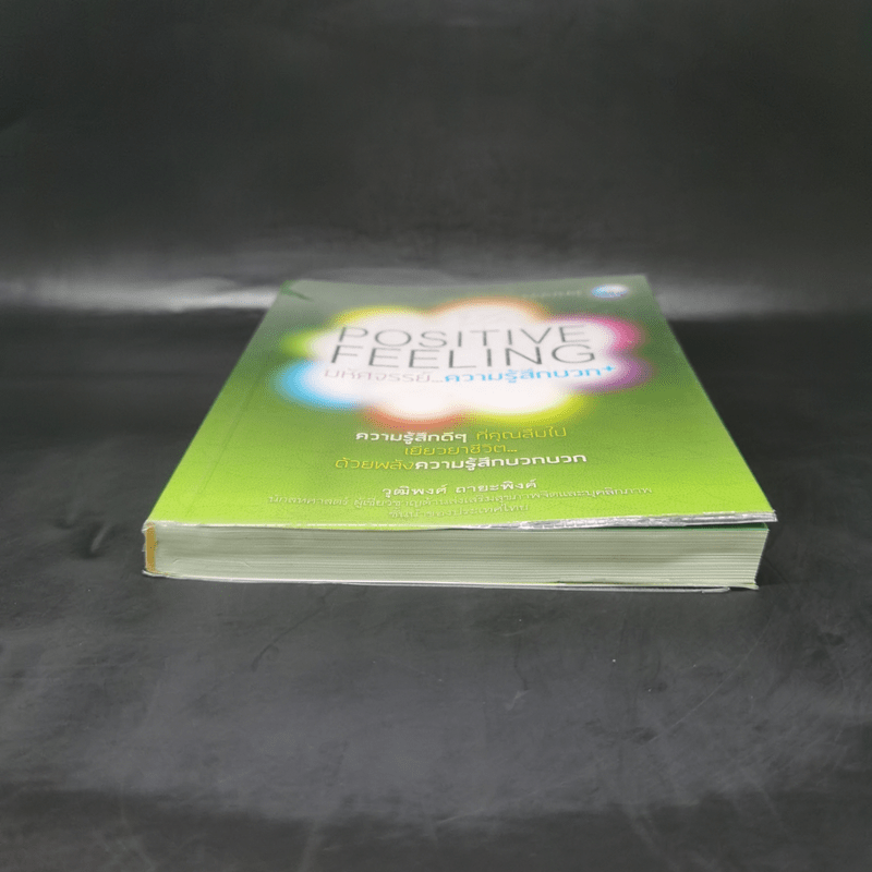 Positive Feeling มหัศจรรย์..ความรู้สึกบวก - วุฒิพงศ์ ถายะพิงค์
