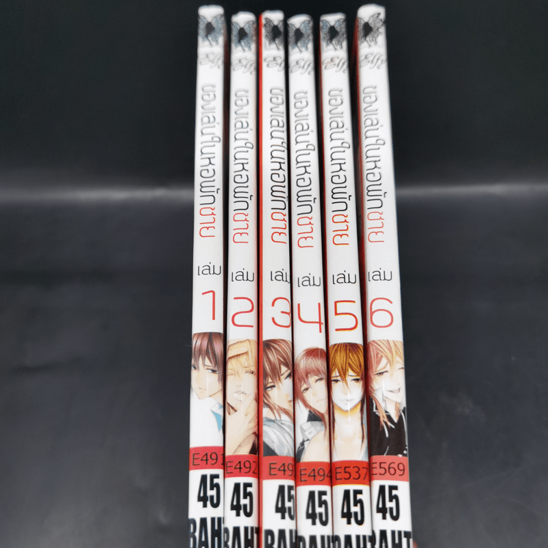 การ์ตูนวาย ของเล่นในหอพักชาย เล่ม 1-6