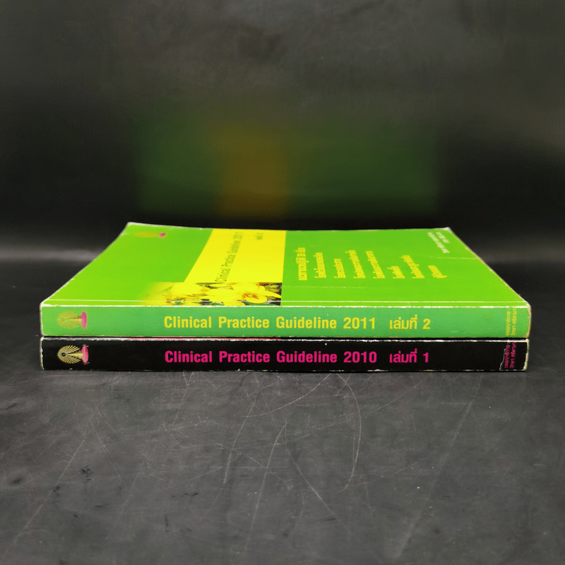 Clinical Practice Guideline 2010-2011