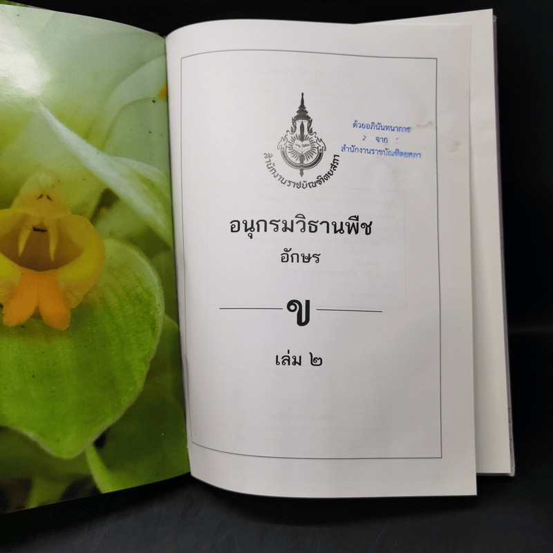 อนุกรมวิธานพืช อักษร ข เล่ม 2 ฉบับราชบัณฑิตยสภา