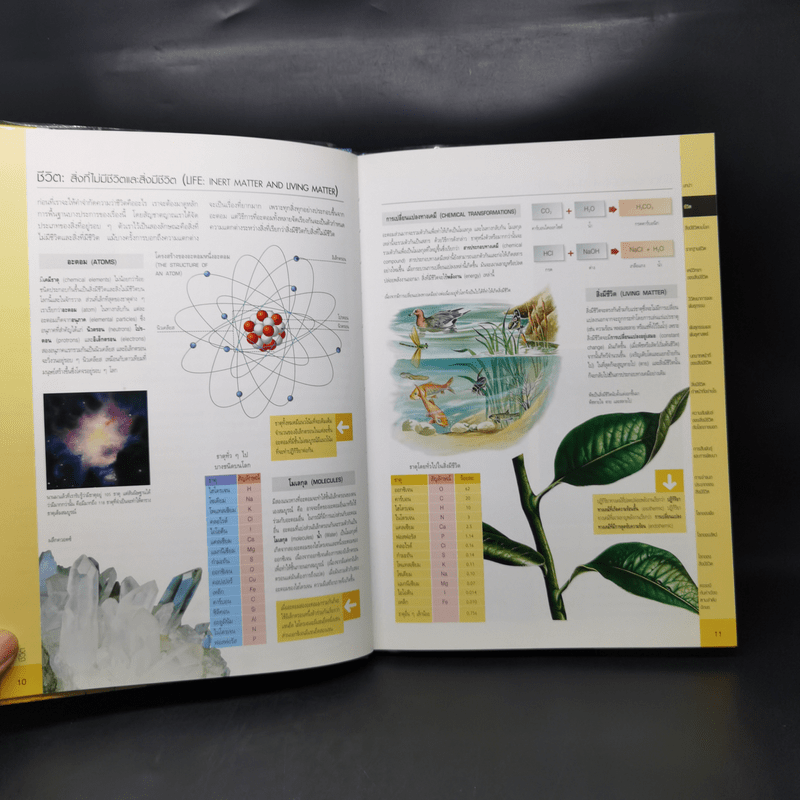 ชีววิทยา Essential Atlas of Biology