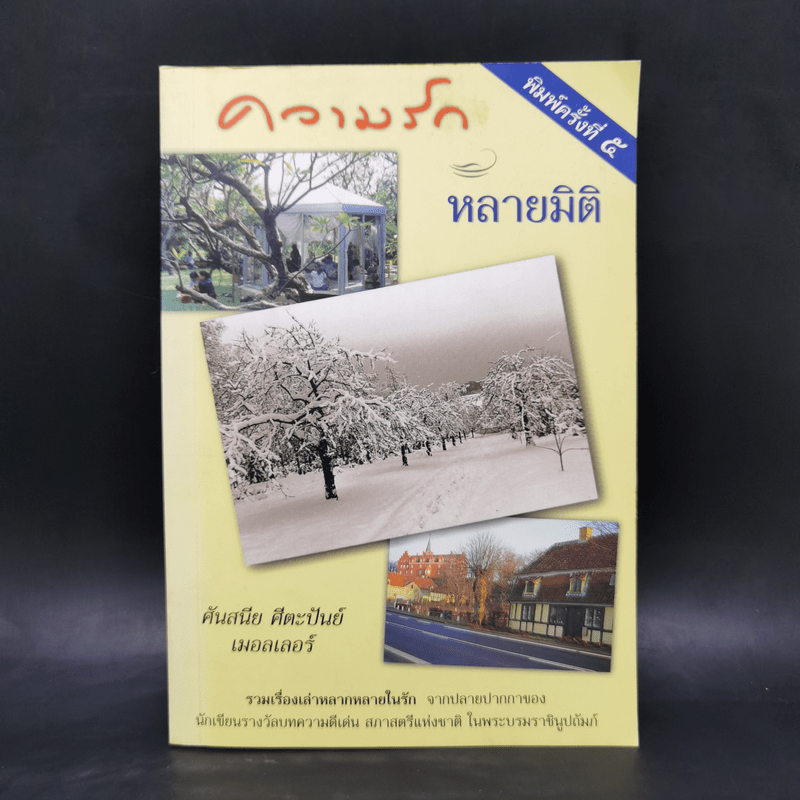 ความรักหลายมิติ - ศันสนีย ศีตะปันย์ เมอลเลอร์