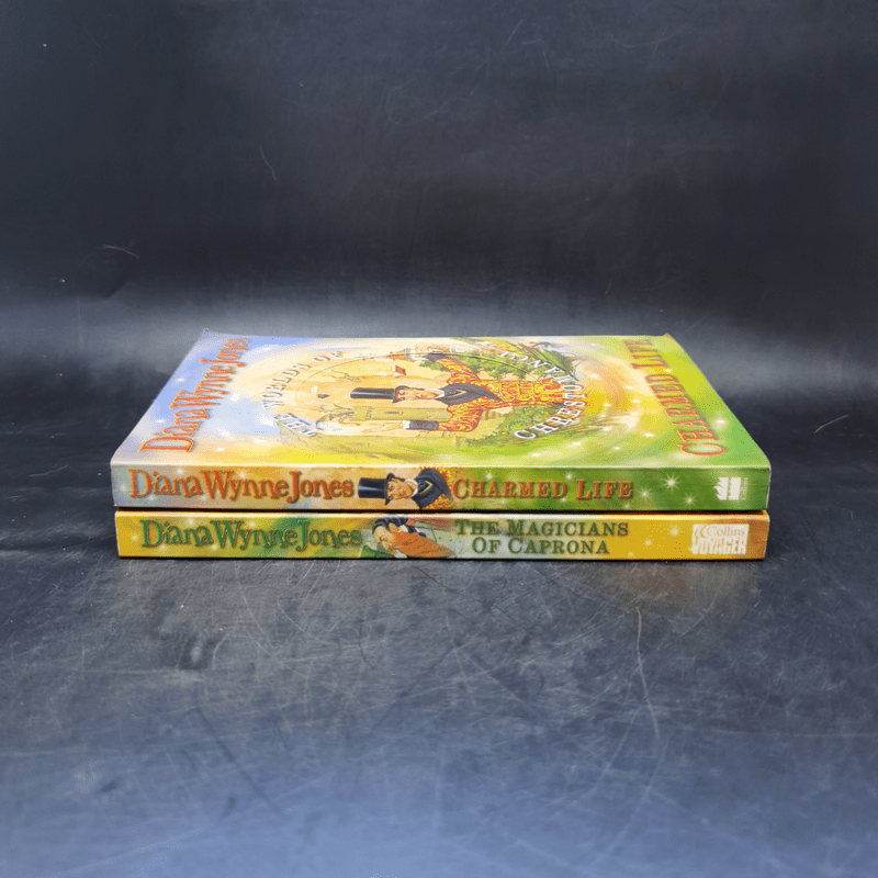 The Worlds of Chrestomanci 2 Books - Diana Wynne Jones