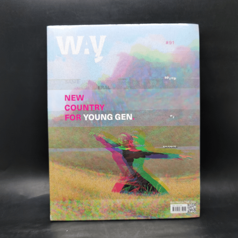 WAY 91 New Country for Young Gen